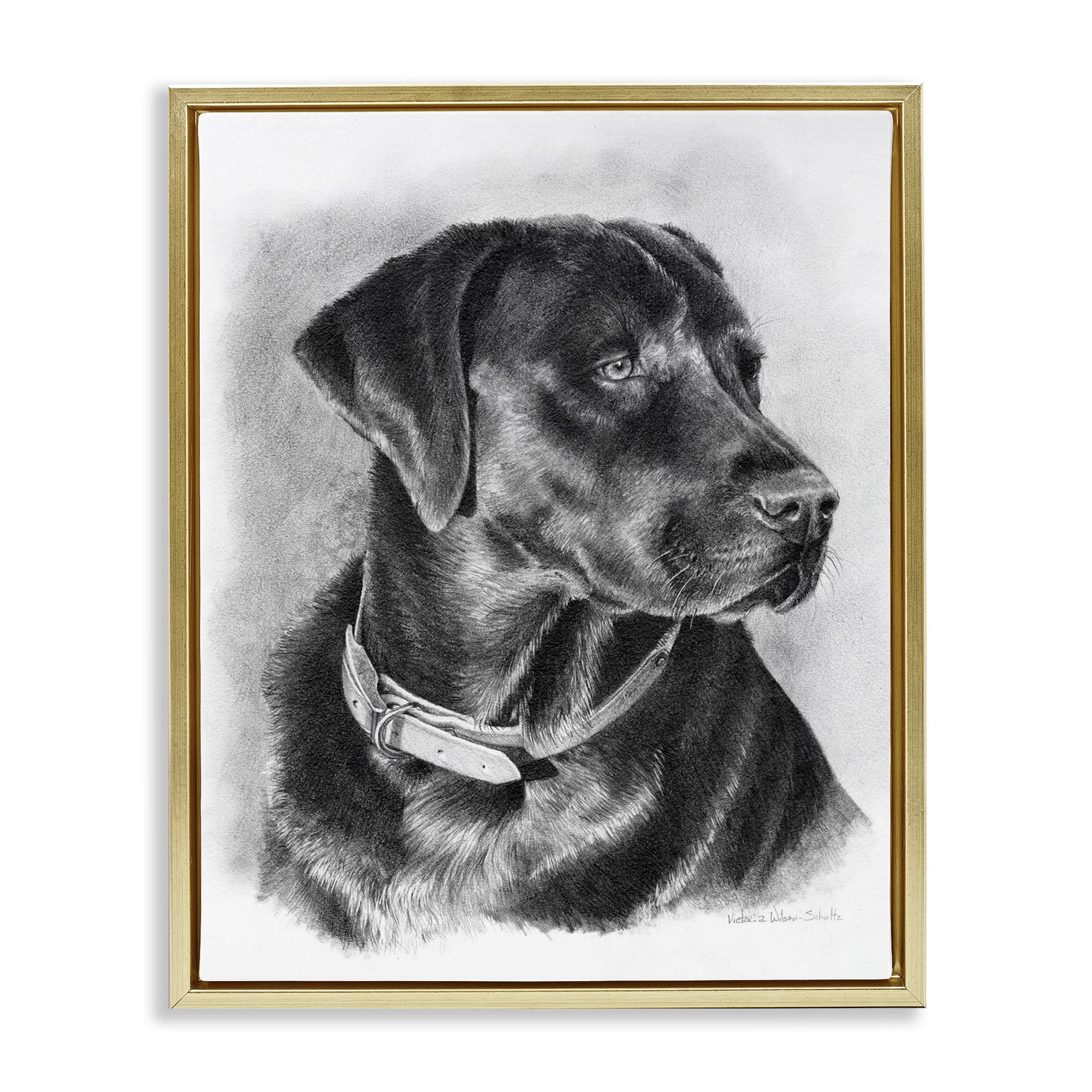 Stupell Industries Black Lab Drawing Animals & Insects Drawing Gold Floater Framed Canvas Art Print Wall Art, 25 x 31