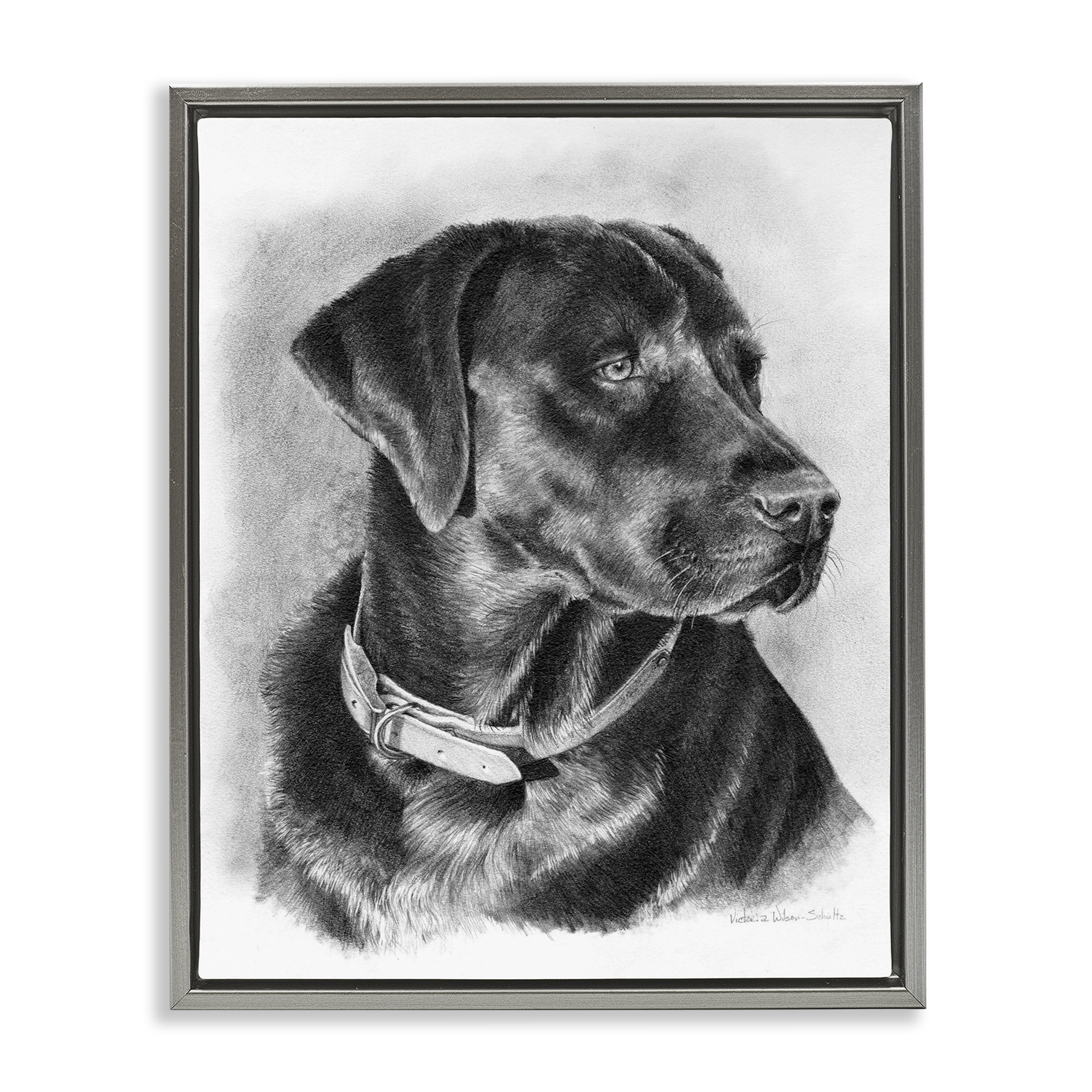 Stupell Industries Black Lab Drawing Animals & Insects Drawing Gray Floater Framed Canvas Art Print Wall Art, 25 x 31