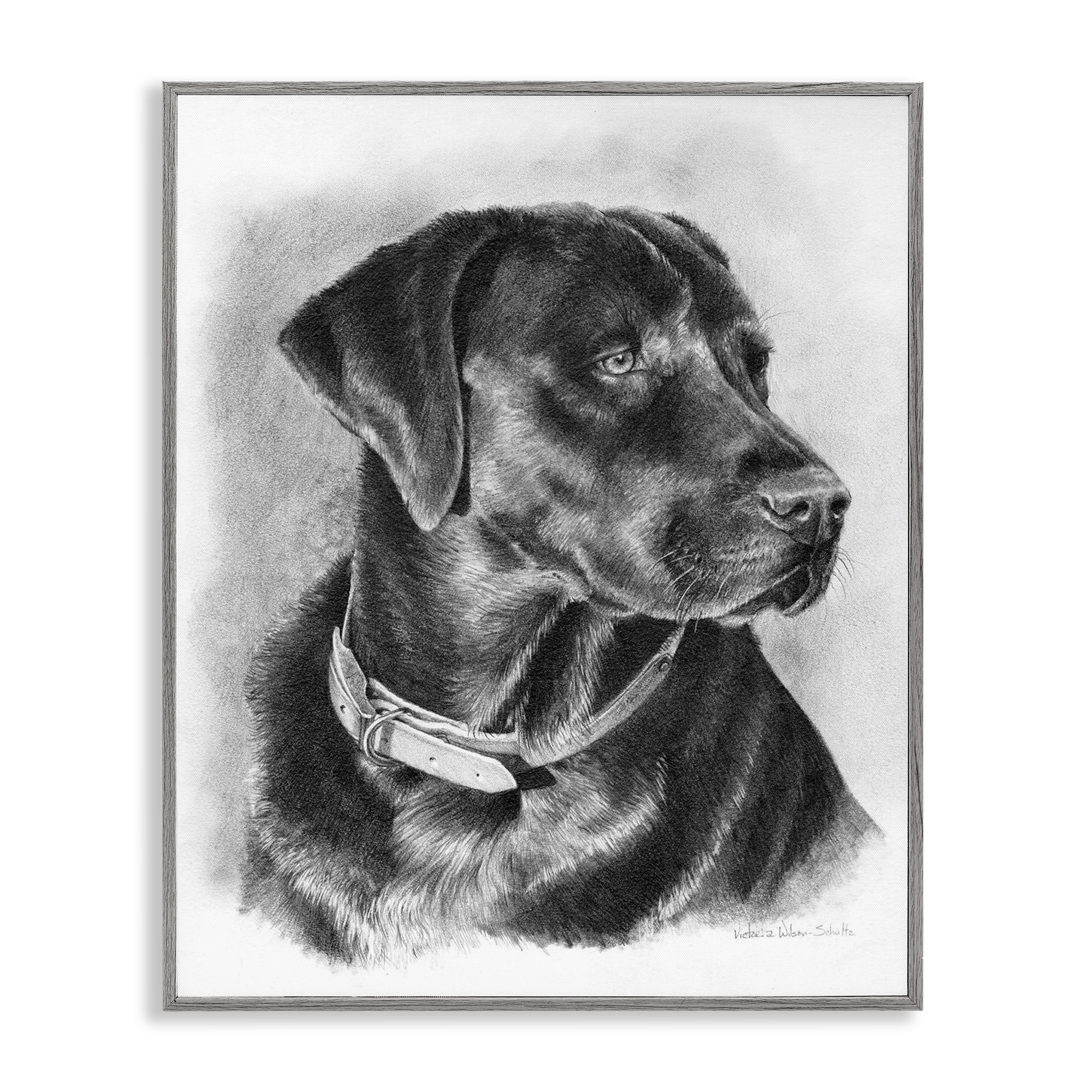 Stupell Industries Black Lab Drawing Animals & Insects Drawing Gray Framed Art Print Wall Art, 11 x 14