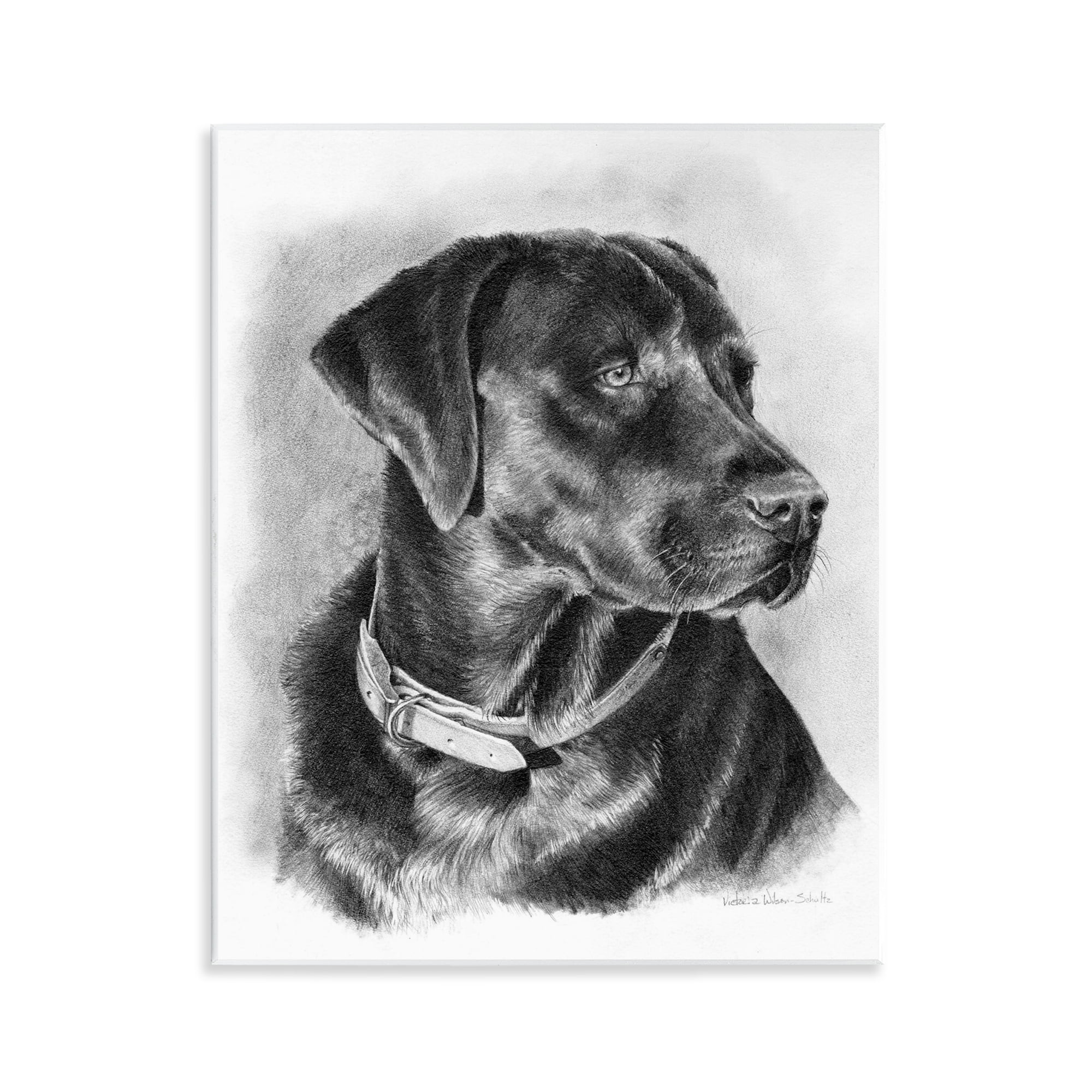 Stupell Industries Black Lab Drawing Animals & Insects Drawing Unframed Art Print Wall Art, 11 x 14
