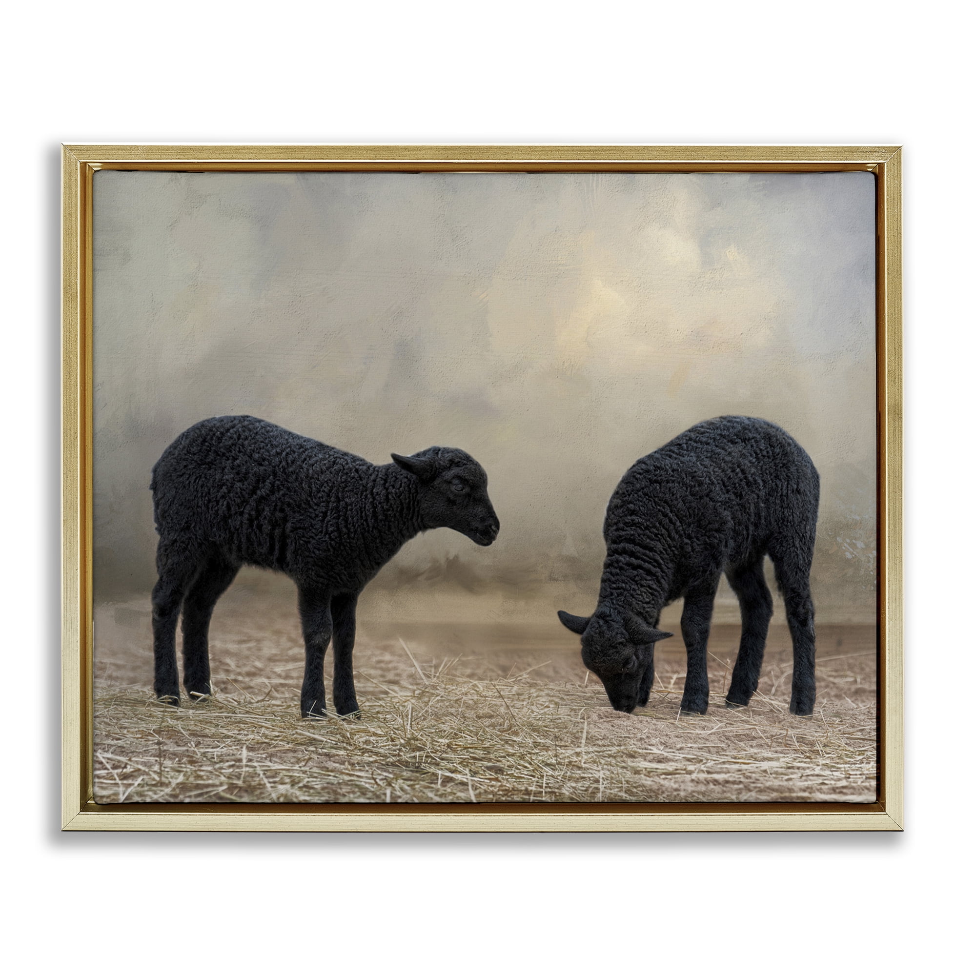 Stupell Industries Black Sheep Grazing Animals & Insects Photography Gold Floater Framed Canvas Art Print Wall Art, 21 x 17