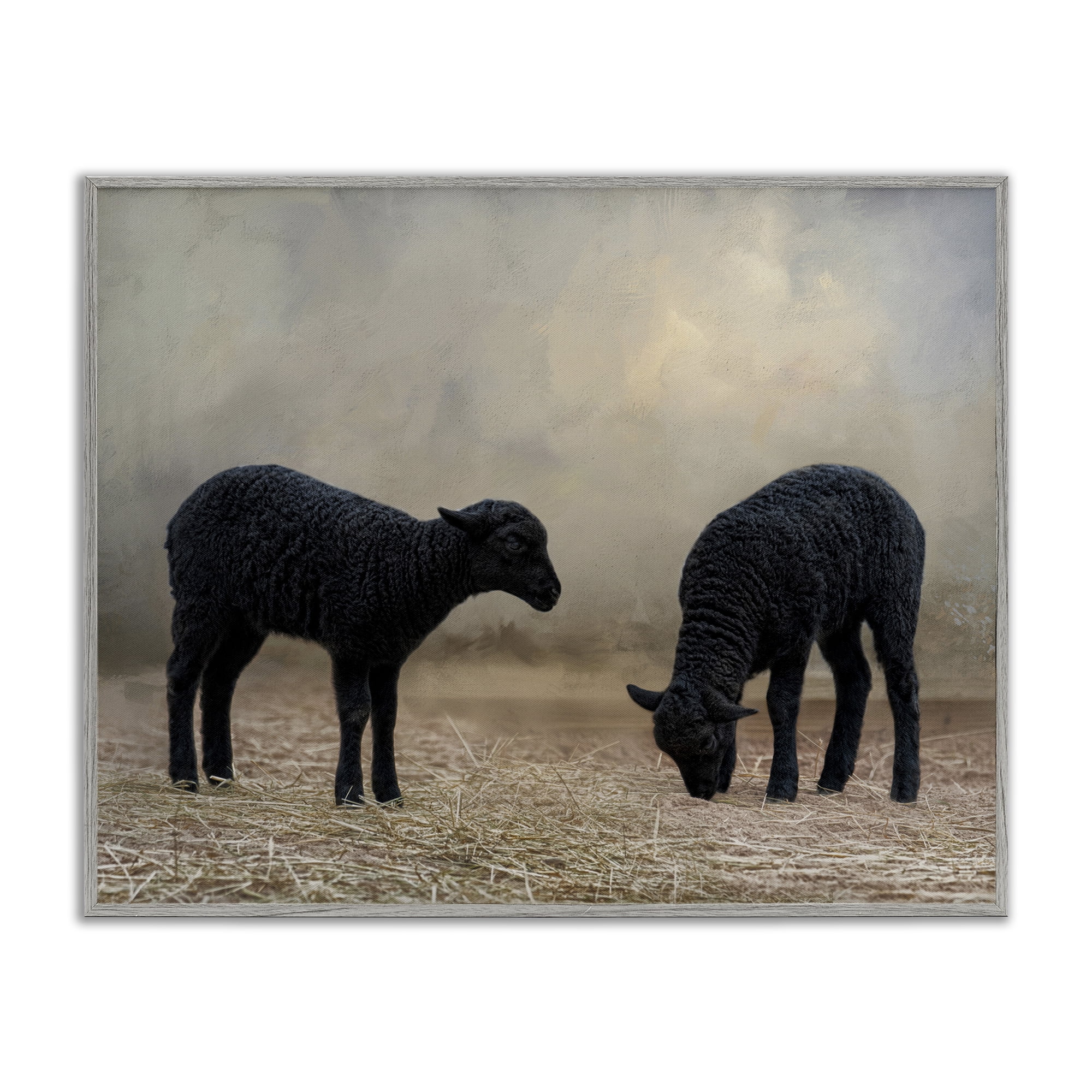Stupell Industries Black Sheep Grazing Animals & Insects Photography Gray Framed Art Print Wall Art, 30 x 24