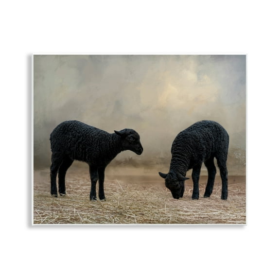 Stupell Industries Black Sheep Grazing Animals & Insects Photography Unframed Art Print Wall Art, 14 x 11