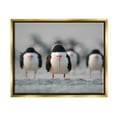 thumbnail image 1 of Stupell Industries Black Skimmer Gang Animals & Insects Photography Gold Floater Framed Canvas Art Print Wall Art, 31 x 25, 1 of 10