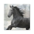 thumbnail image 1 of Stupell Industries Black Stallion Horse Animals & Insects Painting Gallery Wrapped Canvas Art Print Wall Art, 36 x 36, 1 of 8
