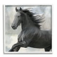 thumbnail image 1 of Stupell Industries Black Stallion Horse Animals & Insects Painting White Framed Art Print Wall Art, 17 x 17, 1 of 9