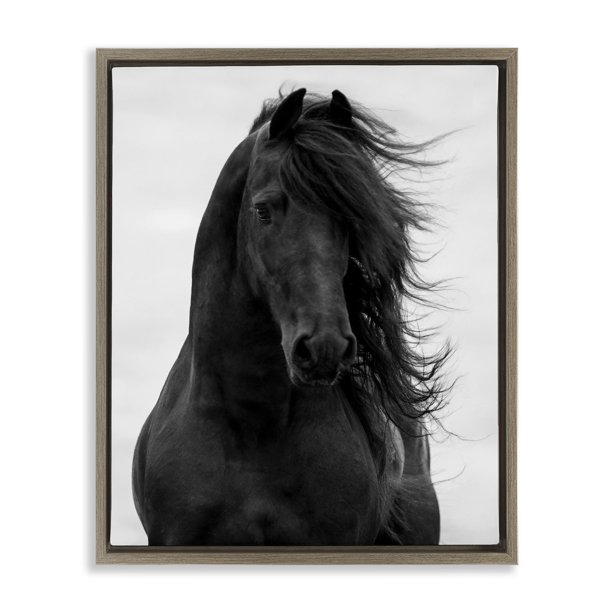 Stupell Industries Black Stallion Horse Portrait Animals & Insects Photography Brown Floater Framed Canvas Art Print Wall Art, 17 x 21