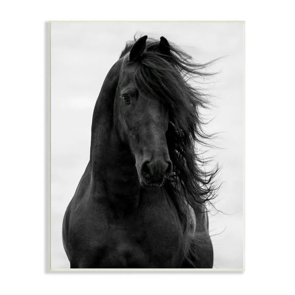 Stupell Industries Black Stallion Horse Portrait Soft Grey Sky Photography, 10 x 15, Design by Carol Walker