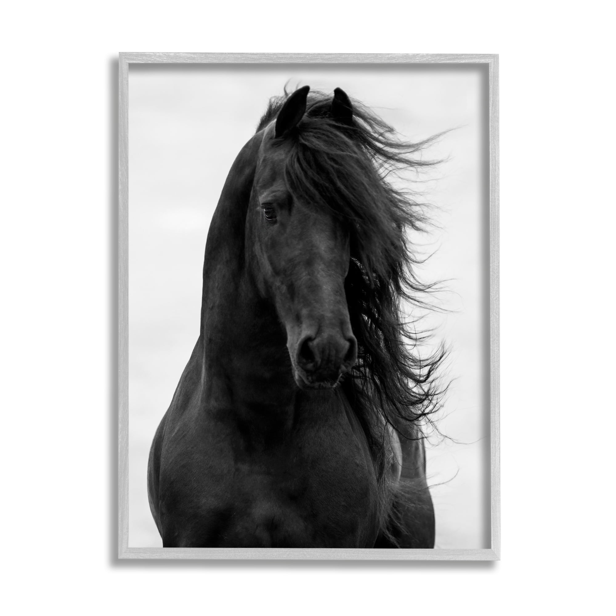 Stupell Industries Black Stallion Horse Portrait Soft Grey Sky Photography, 16 x 20, Design by Carol Walker