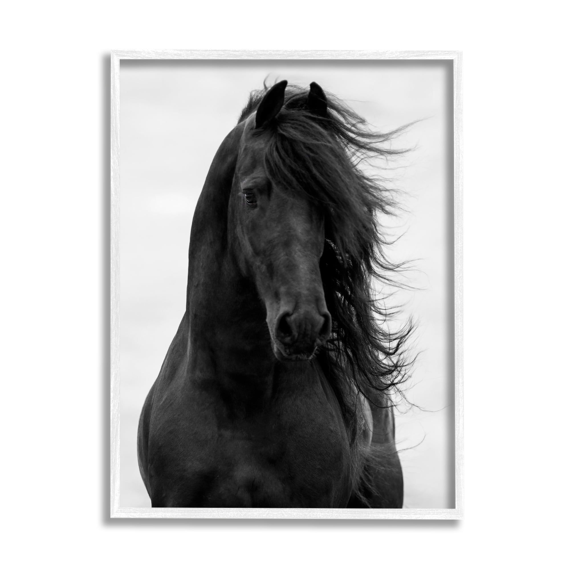Stupell Industries Black Stallion Horse Portrait Soft Grey Sky Photography, 16 x 20, Design by Carol Walker
