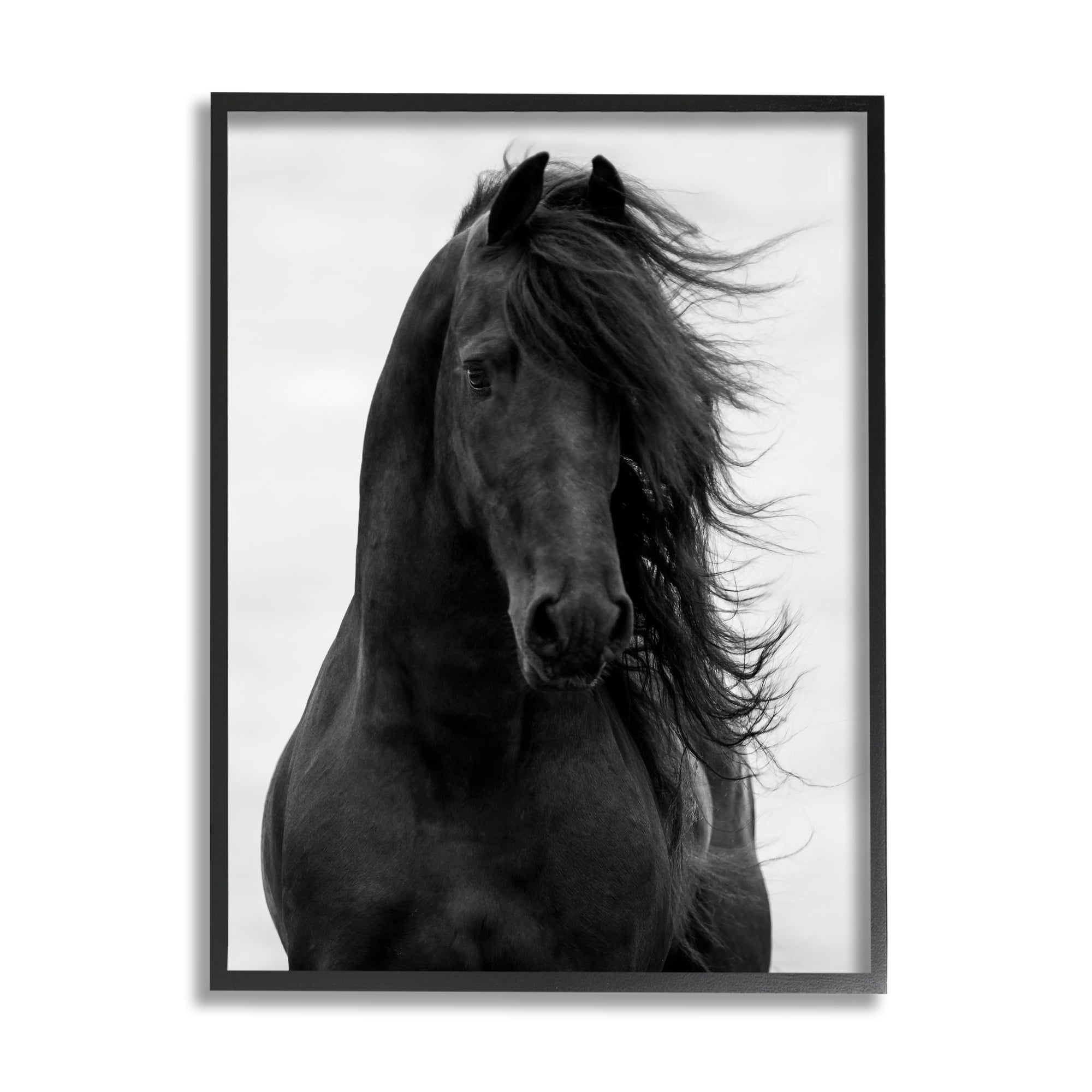 Black Stallion Horse Portrait on Canvas with Black Frame, 24 x 30