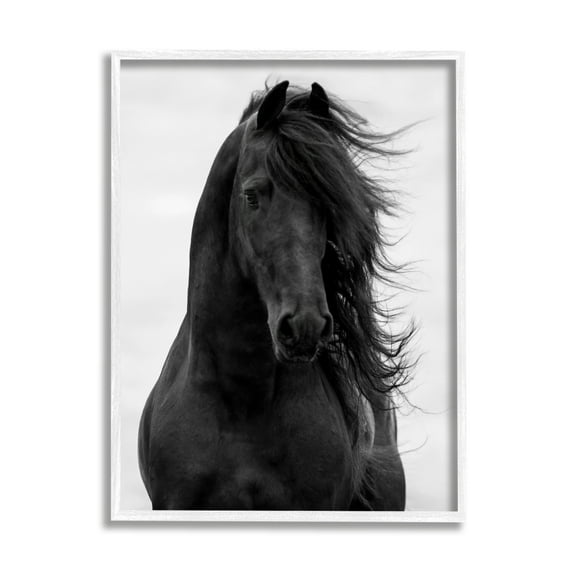 Stupell Industries Black Stallion Horse Portrait Soft Grey Sky Photography, 24 x 30, Design by Carol Walker