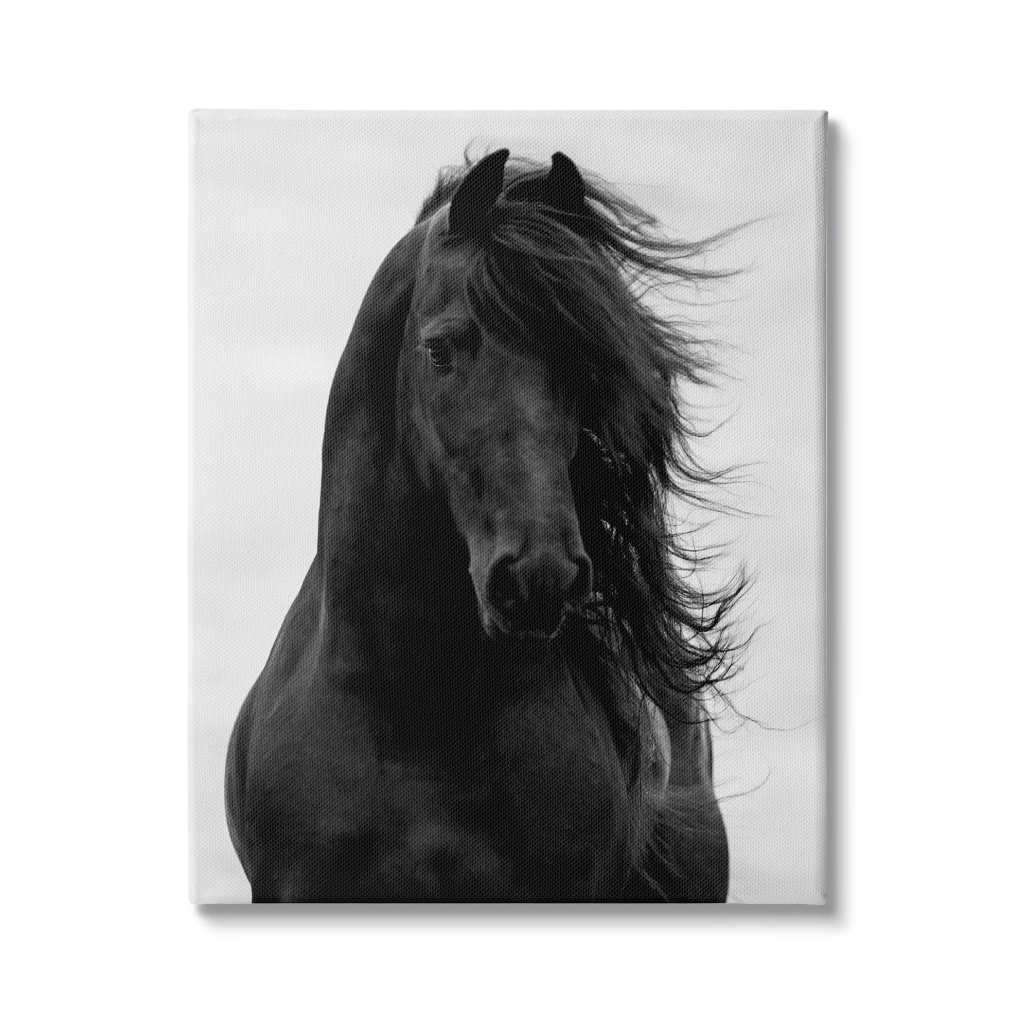 Stupell Industries Black Stallion Horse Portrait Soft Grey Sky Photography, 30 x 40, Design by Carol Walker