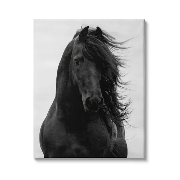 Stupell Industries Black Stallion Horse Portrait Soft Grey Sky Photography, 36 x 48, Design by Carol Walker