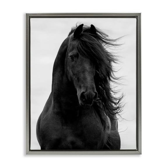 Stupell Industries Black Stallion Horse Portrait Soft Grey Sky Photography Luster Gray Framed Floating Canvas Wall Art, 16x20, by Carol Walker
