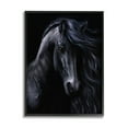 thumbnail image 1 of Stupell Industries Black Stallion Portrait Animals & Insects Photography Black Framed Art Print Wall Art, 16 x 20, 1 of 9