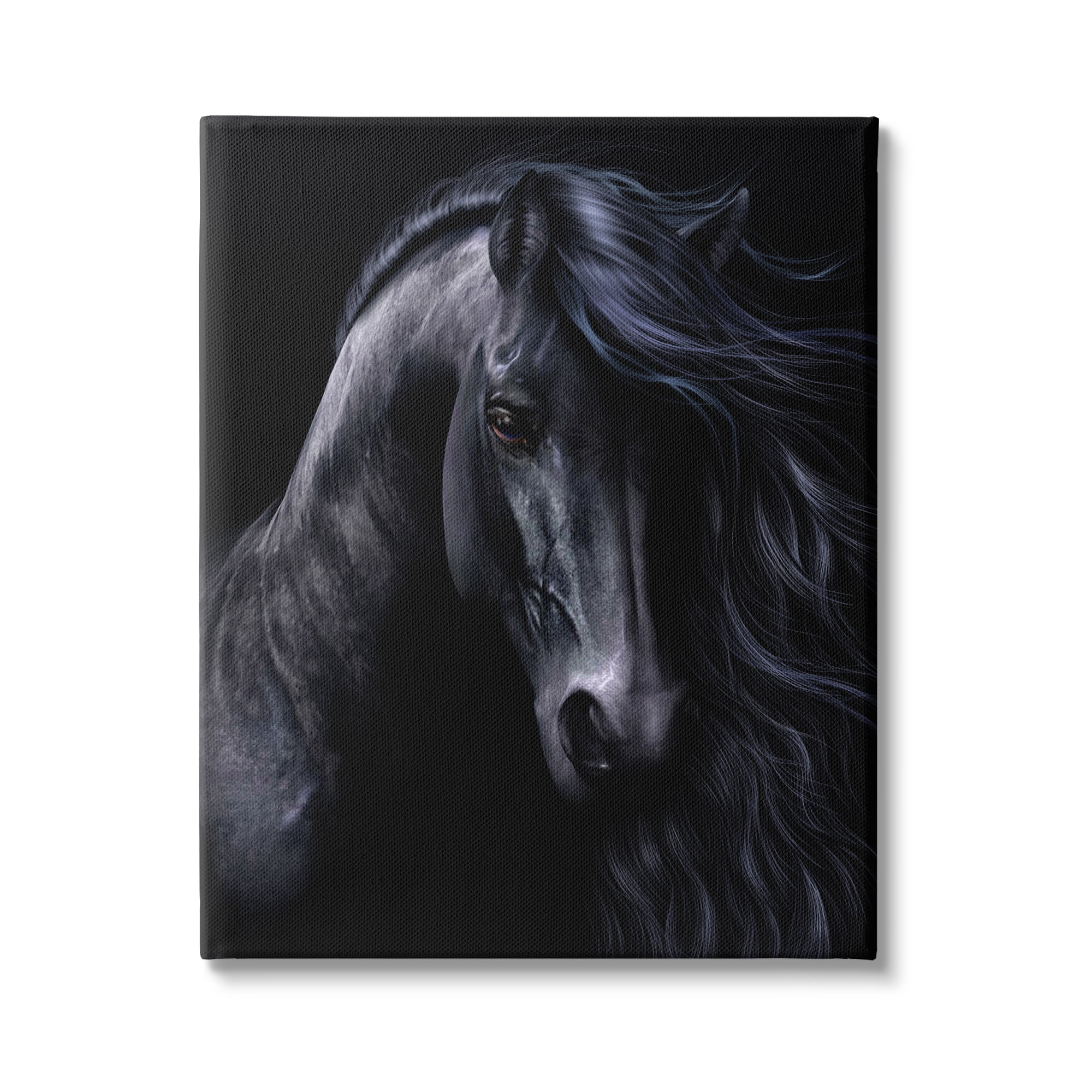 Stupell Industries Black Stallion Portrait Animals & Insects Photography Gallery Wrapped Canvas Art Print Wall Art, 30 x 40