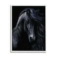 thumbnail image 1 of Stupell Industries Black Stallion Portrait Animals & Insects Photography White Framed Art Print Wall Art, 11 x 14, 1 of 9