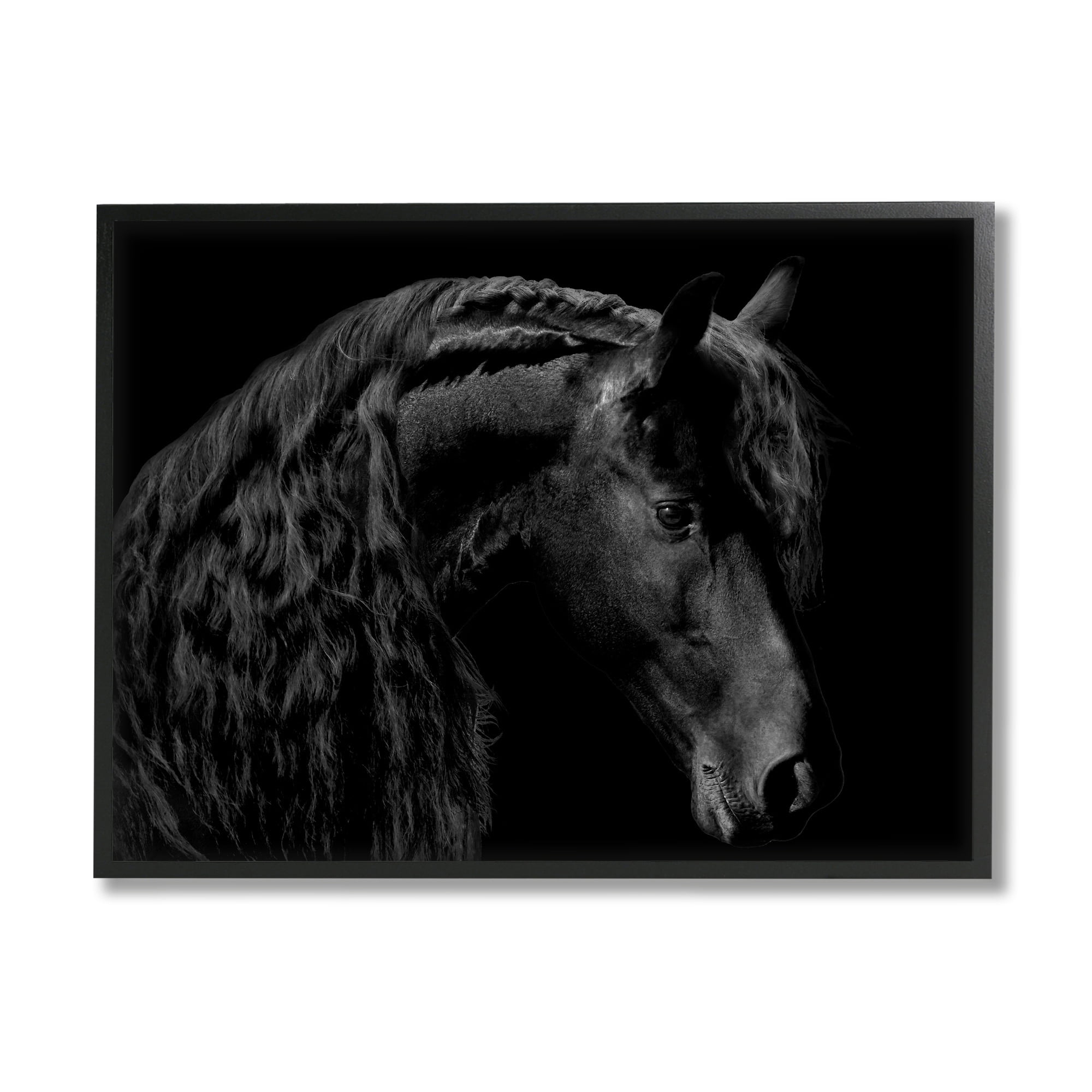 Stupell Industries Black Stallion Portrait Braided Horse Mane Modern Photography, 14 x 11,Design by Samantha Carter