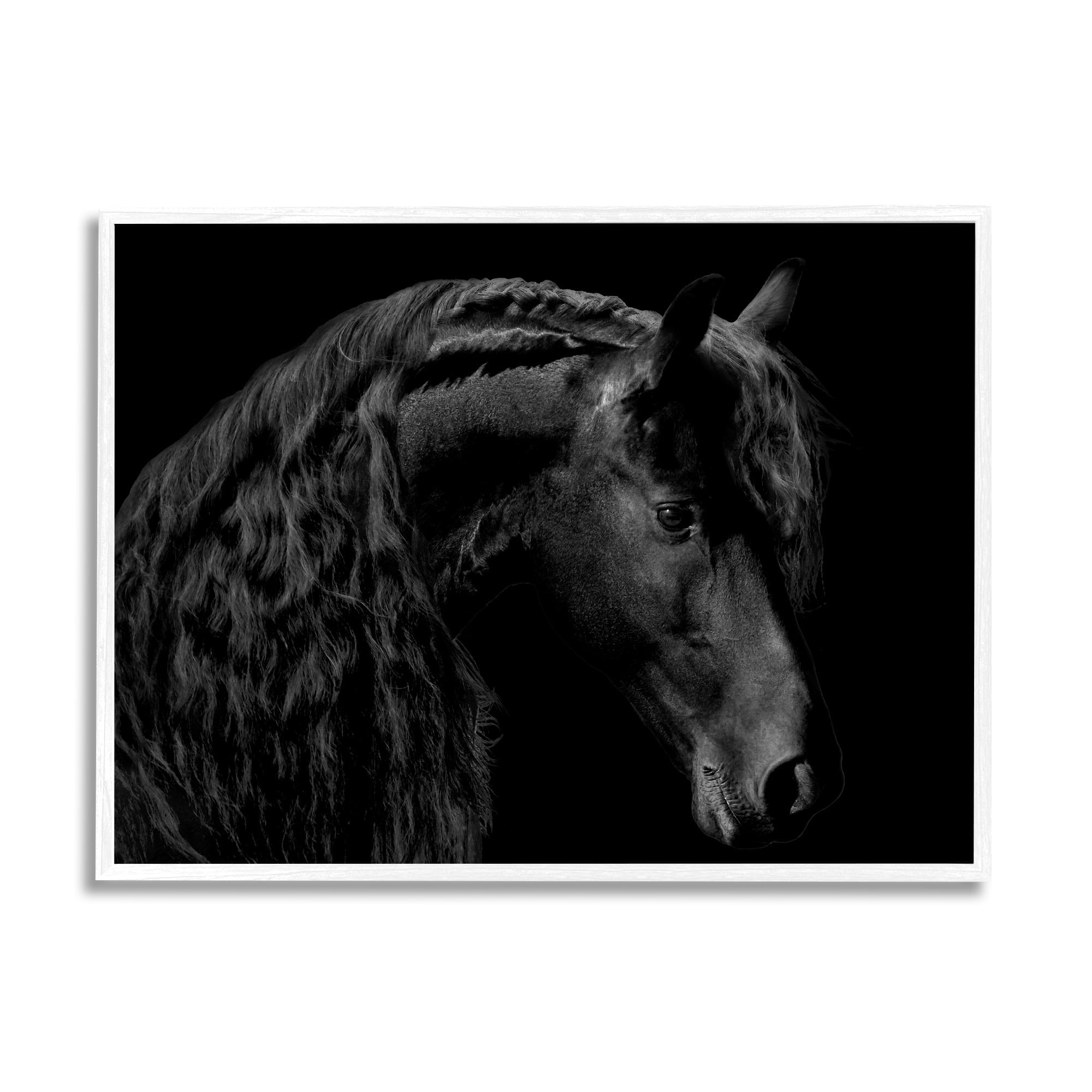 Stupell Industries Black Stallion Portrait Braided Horse Mane Modern Photography, 14 x 11,Design by Samantha Carter