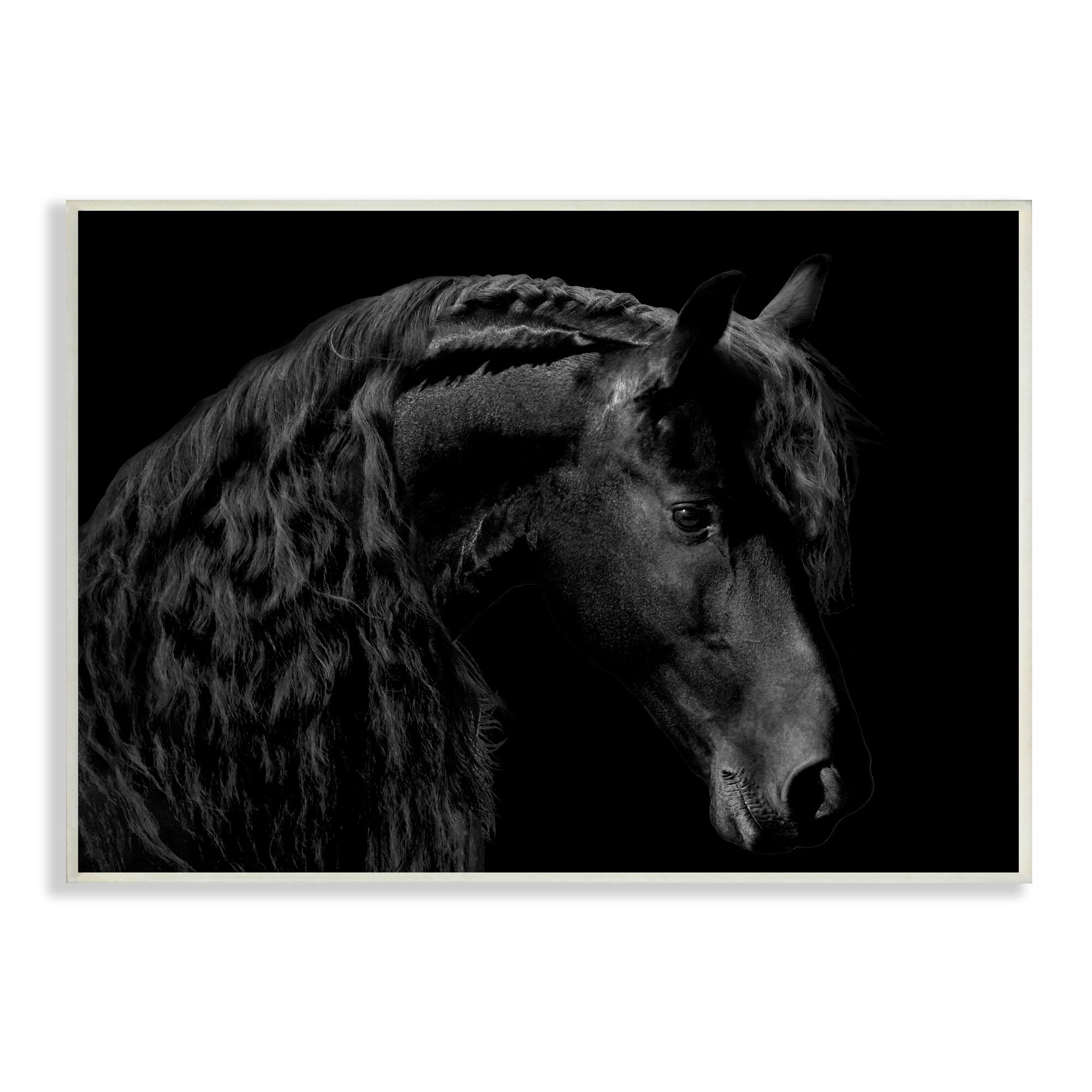Stupell Industries Black Stallion Portrait Braided Horse Mane Modern Photography, 15 x 10,Design by Samantha Carter
