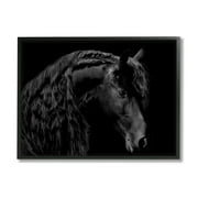 Stupell Industries Black Stallion Portrait Braided Horse Mane Modern Photography, 20 x 16,Design by Samantha Carter