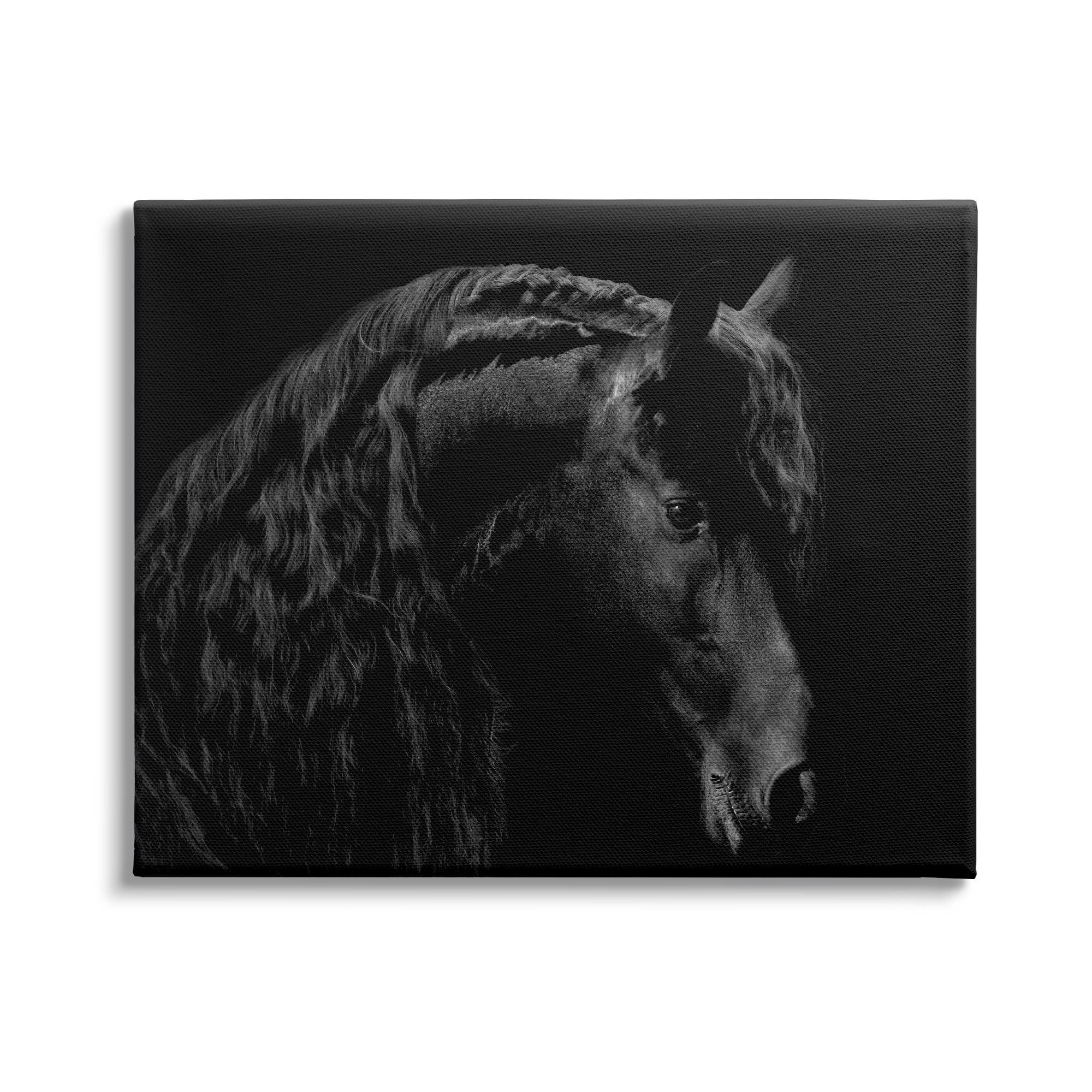 Stupell Industries Black Stallion Portrait Braided Horse Mane Modern Photography, 30 x 24,Design by Samantha Carter