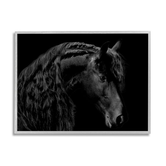 Stupell Industries Black Stallion Portrait Braided Horse Mane Modern Photography, 30 x 24,Design by Samantha Carter