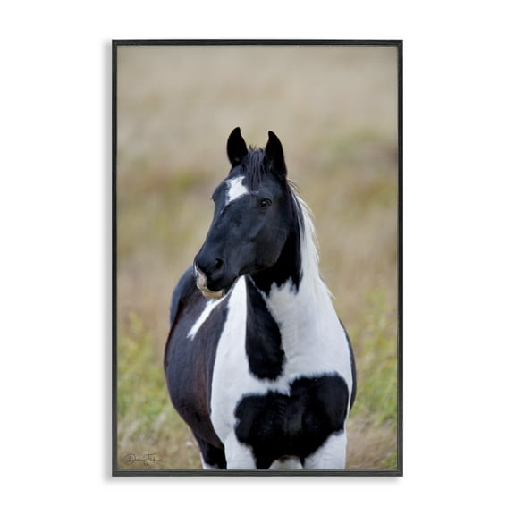 Stupell Industries Black & White Foal Animals & Insects Photography Black Framed Art Print Wall Art, 12 x 18