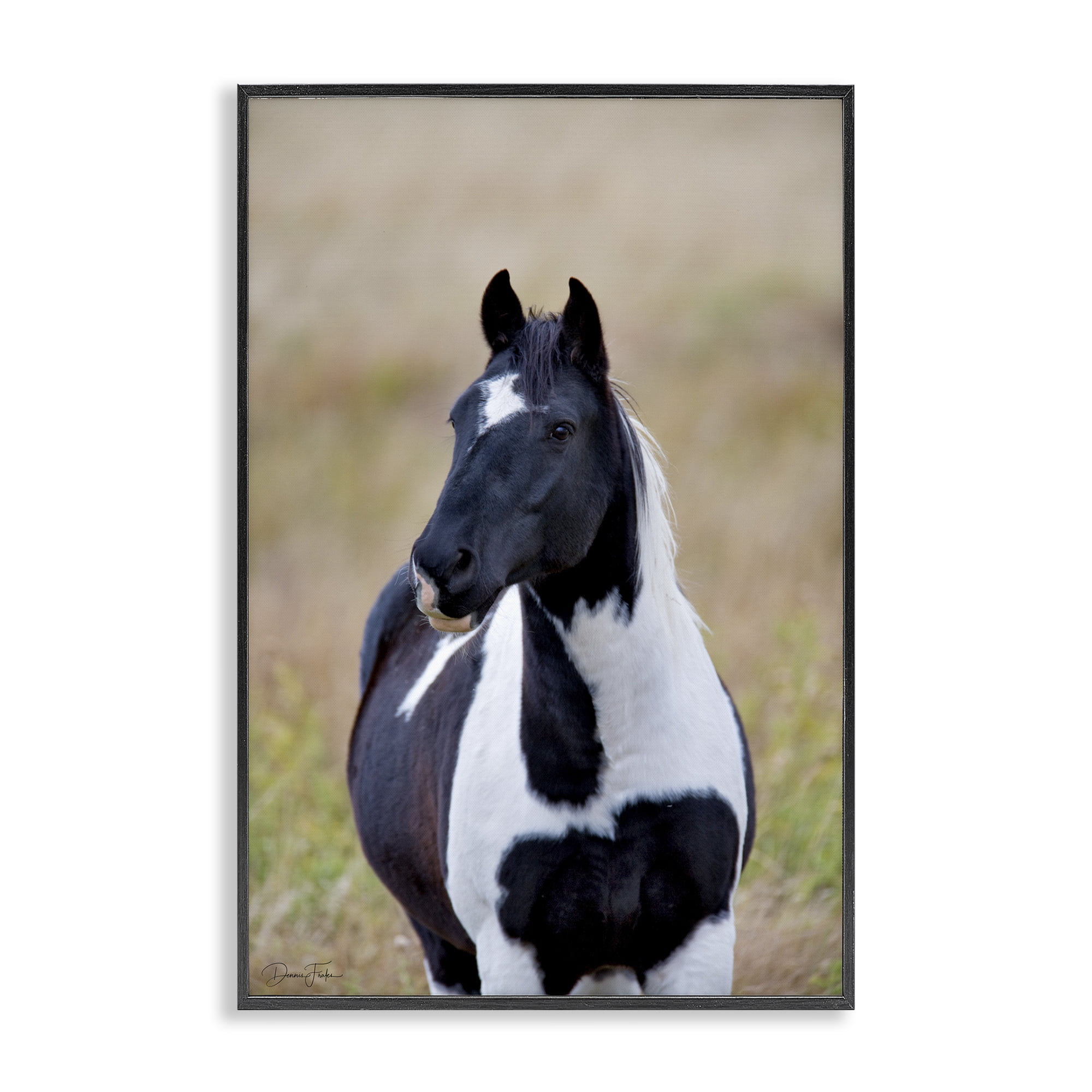 Stupell Industries Black & White Foal Animals & Insects Photography Black Framed Art Print Wall Art, 16 x 24