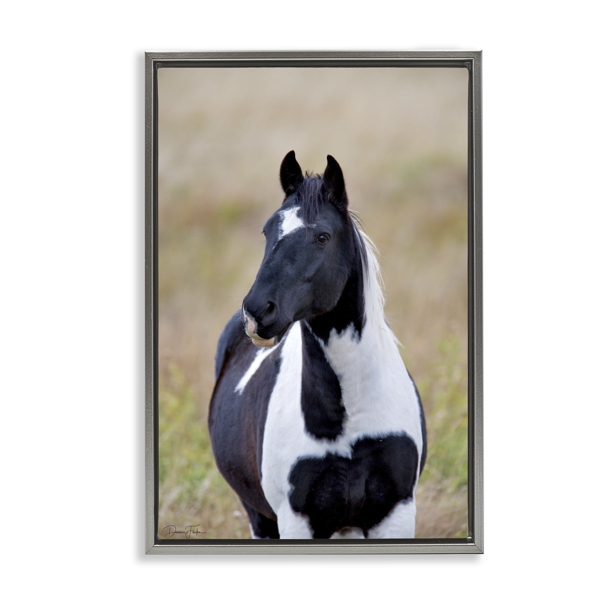 Stupell Industries Black & White Foal Animals & Insects Photography Gray Floater Framed Canvas Art Print Wall Art, 17 x 25