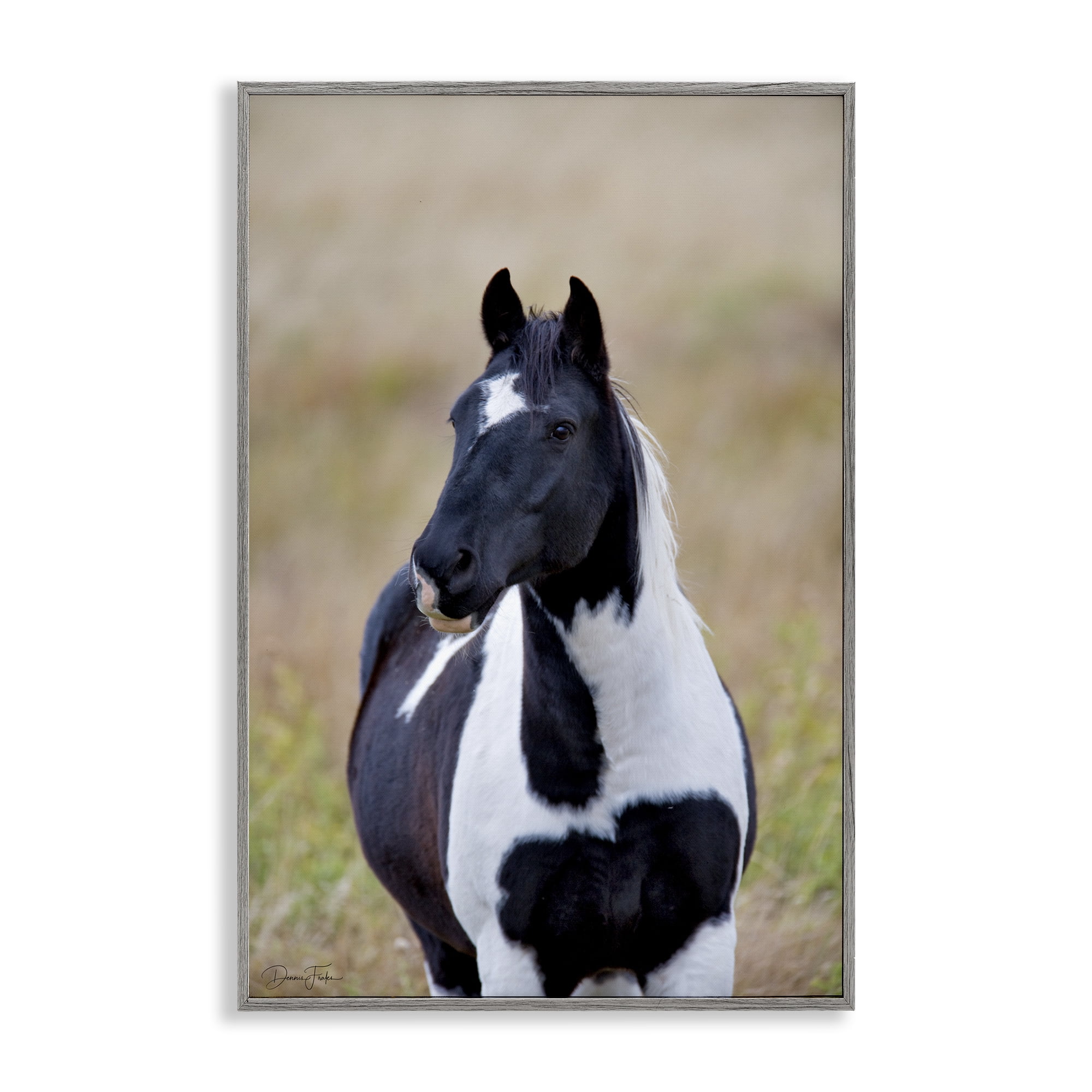 Stupell Industries Black & White Foal Animals & Insects Photography Gray Framed Art Print Wall Art, 16 x 24
