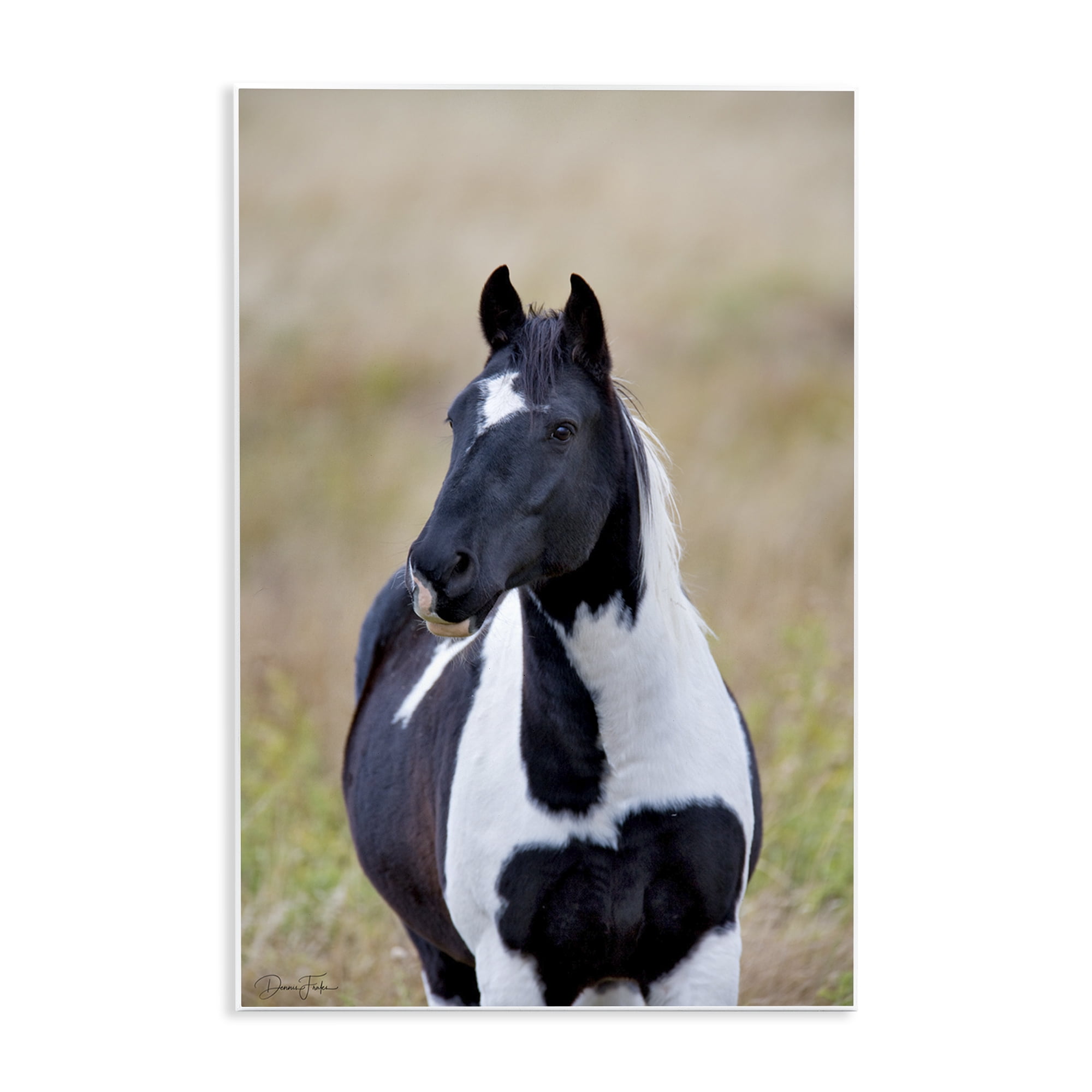 Stupell Industries Black & White Foal Animals & Insects Photography Unframed Art Print Wall Art, 10 x 15