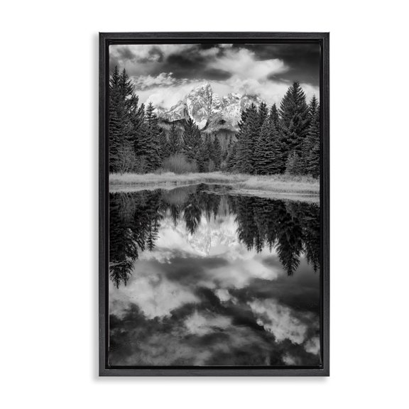Stupell Industries Traditional Black & White Forest Reflection Black Floating Frame Canvas Art, 17 x 25, by Rick Berk