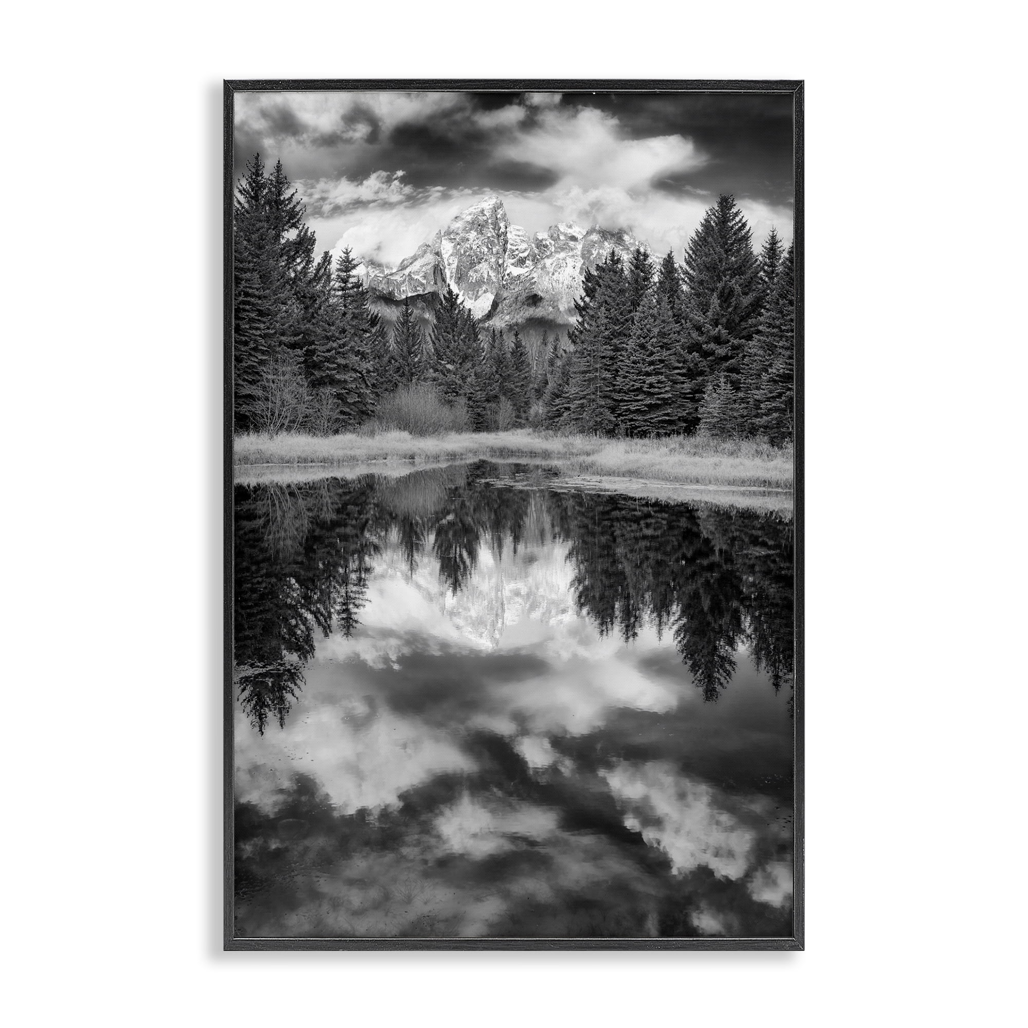Stupell Industries Black & White Forest Reflection Landscape & Nature Photography Black Framed Art Print Wall Art, 12 x 18