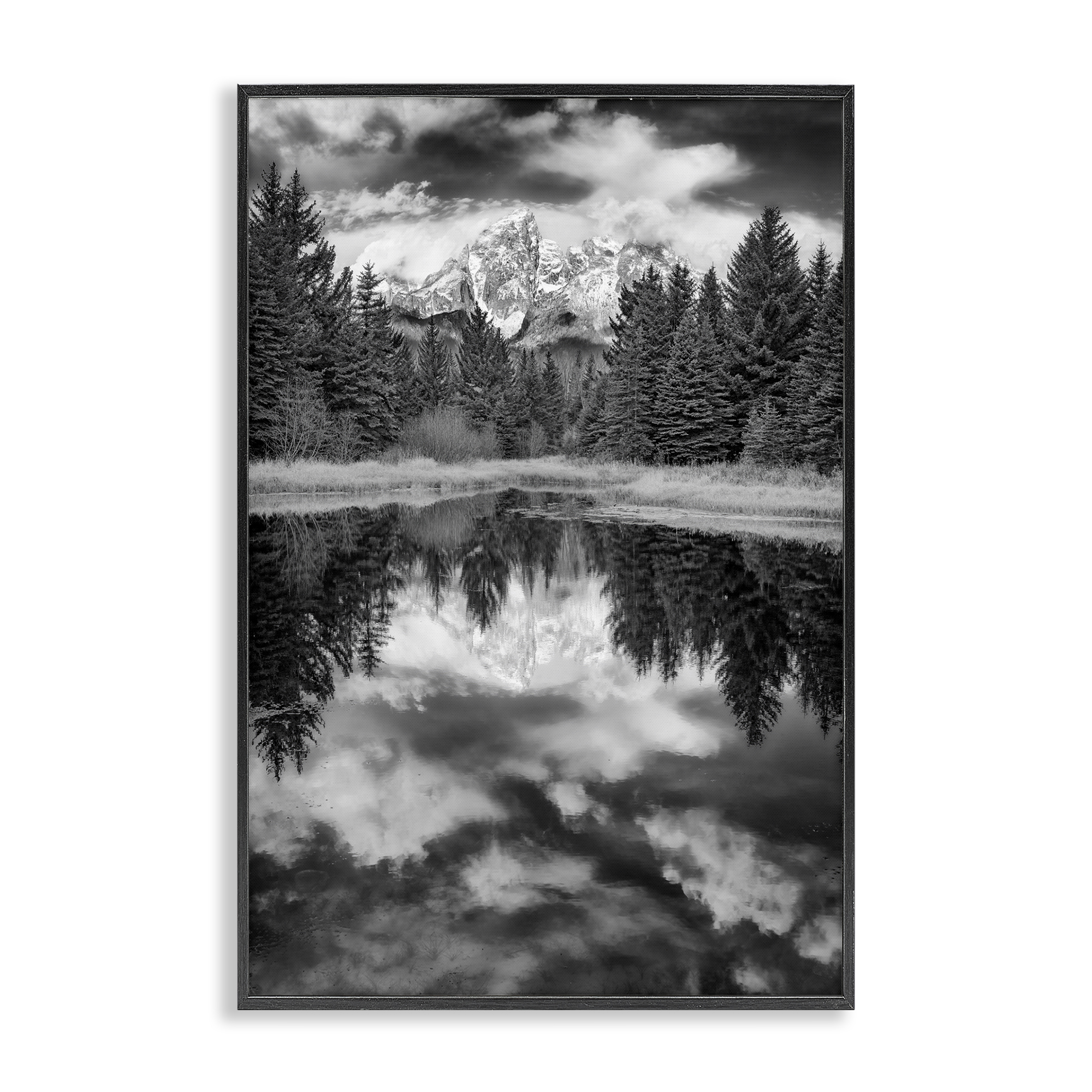 Stupell Industries Black & White Forest Reflection Landscape & Nature Photography Black Framed Art Print Wall Art, 20 x 30