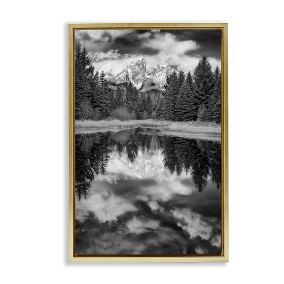Stupell Industries Traditional Black & White Forest Reflection Gold Floating Frame Canvas Art, 21 x 31, by Rick Berk