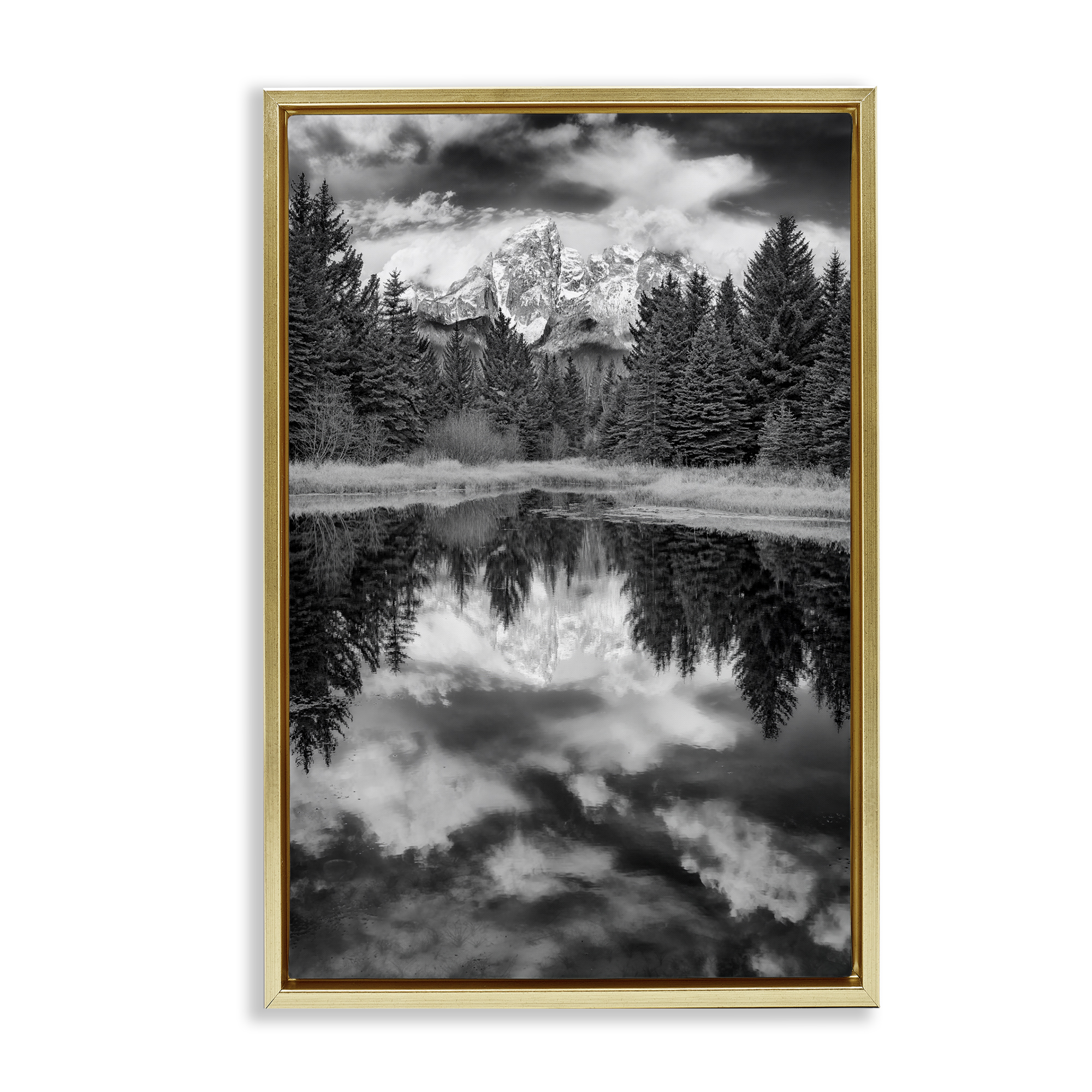 Stupell Industries Black & White Forest Reflection Landscape & Nature Photography Gold Floater Framed Canvas Art Print Wall Art, 21 x 31