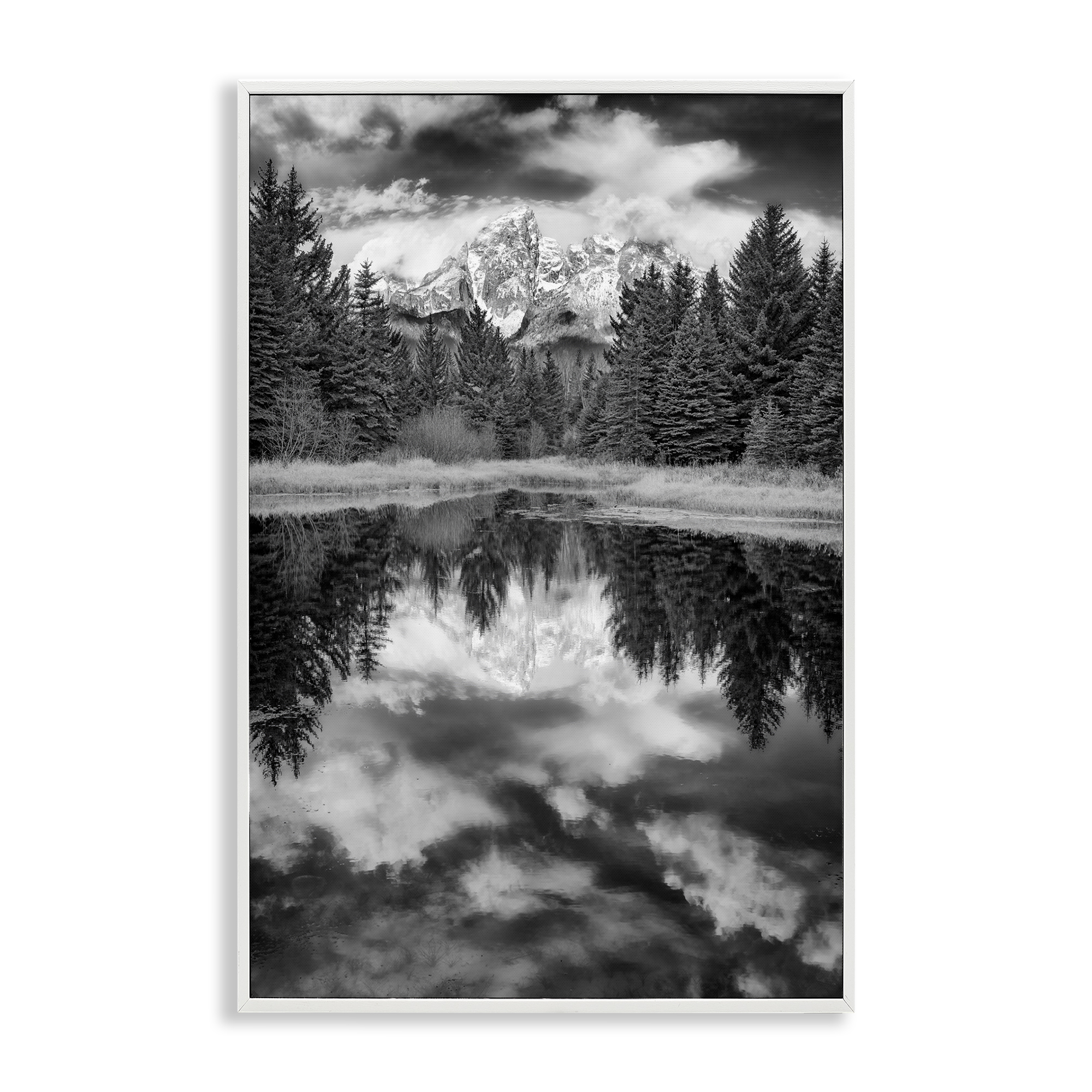 Stupell Industries Black & White Forest Reflection Landscape & Nature Photography White Framed Art Print Wall Art, 12 x 18