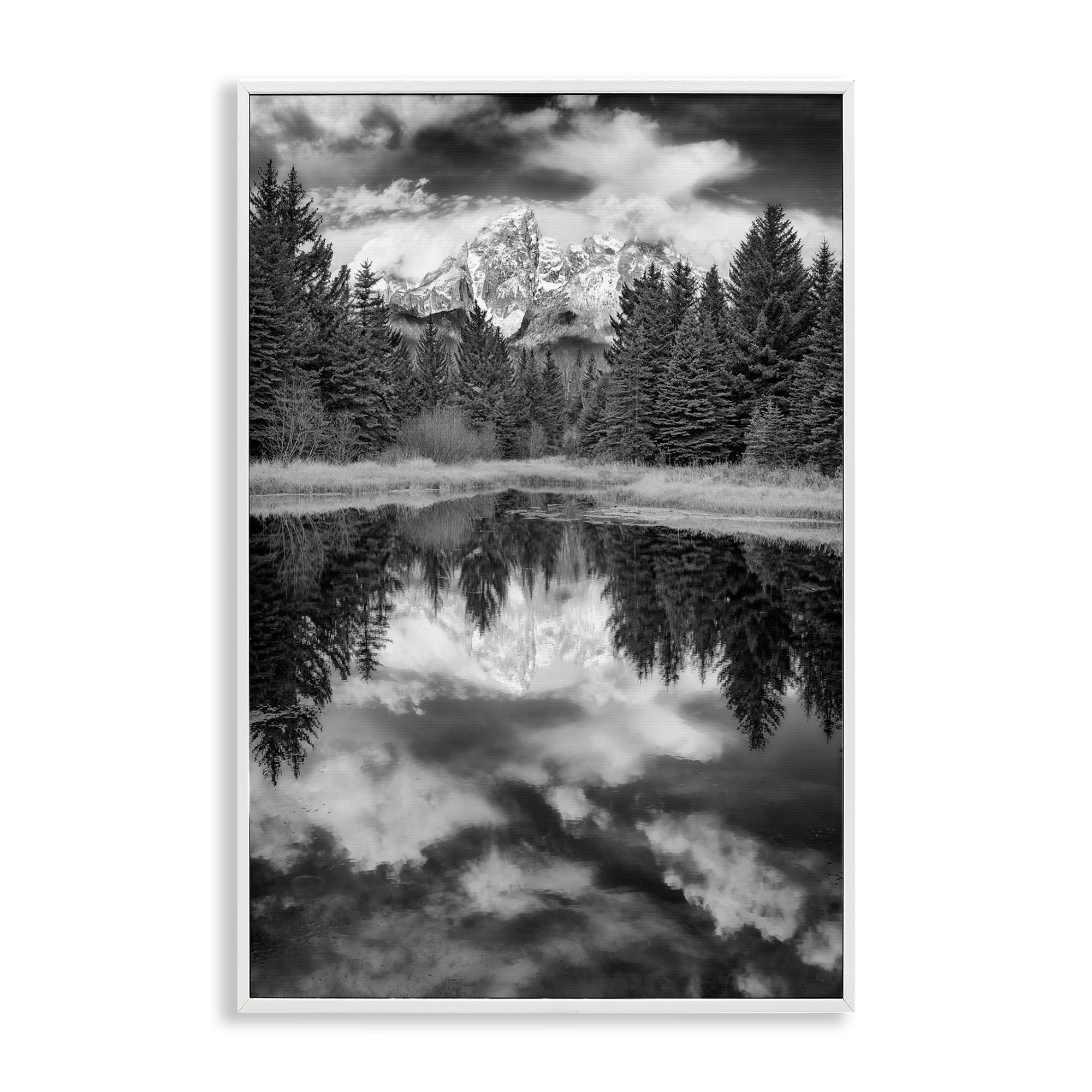Stupell Industries Black & White Forest Reflection Landscape & Nature Photography White Framed Art Print Wall Art, 16 x 24