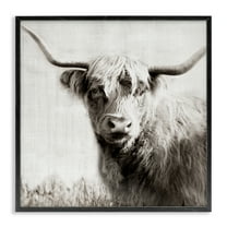 Stupell Industries Black & White Highland Cow Animals Painting Black Framed Art Print Wall Art, 12 x 12