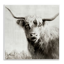 Stupell Industries Black & White Highland Cow Animals Painting Unframed Art Print Wall Art, 12 x 12