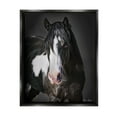 thumbnail image 1 of Stupell Industries Black & White Horse Animals & Insects Photography Black Floater Framed Canvas Art Print Wall Art, 17 x 21, 1 of 10