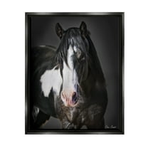 Stupell Industries Black & White Horse Animals & Insects Photography Black Floater Framed Canvas Art Print Wall Art, 17 x 21