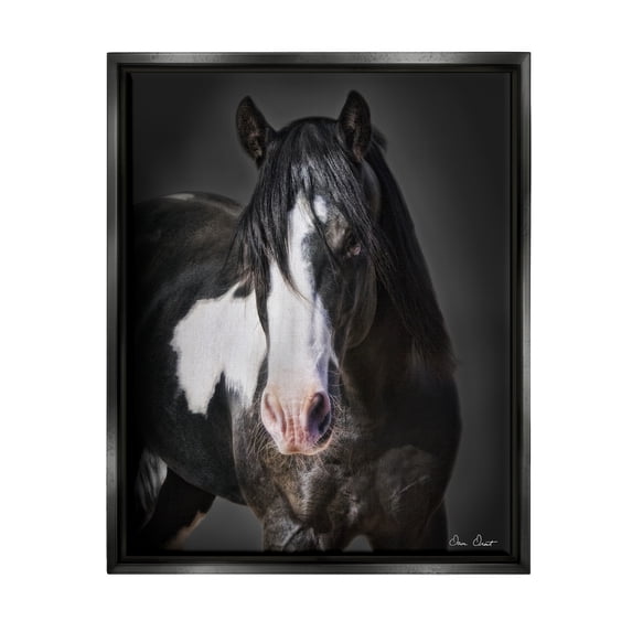 Stupell Industries Black & White Horse Animals & Insects Photography Black Floater Framed Canvas Art Print Wall Art, 17 x 21