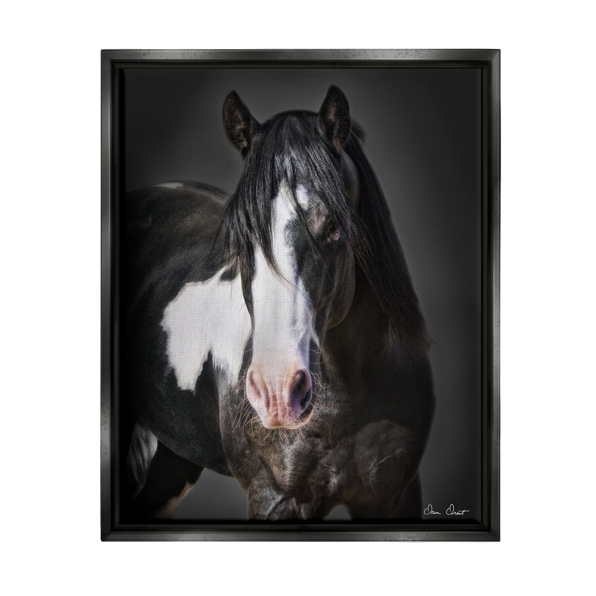 Stupell Industries Black & White Horse Animals & Insects Photography Black Floater Framed Canvas Art Print Wall Art, 25 x 31