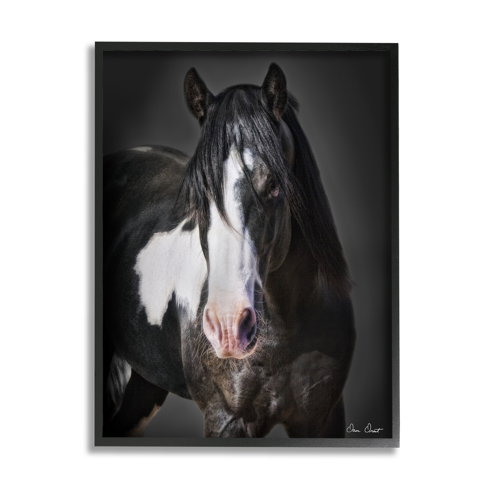 Stupell Industries Black & White Horse Animals & Insects Photography Black Framed Art Print Wall Art, 11 x 14
