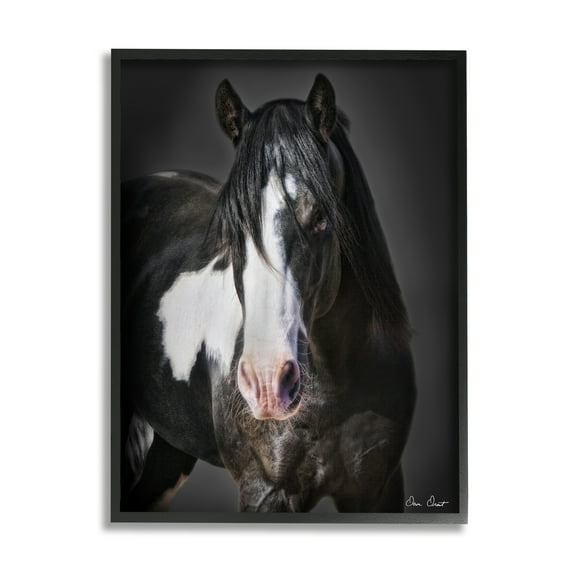Stupell Industries Black & White Horse Animals & Insects Photography Black Framed Art Print Wall Art, 11 x 14