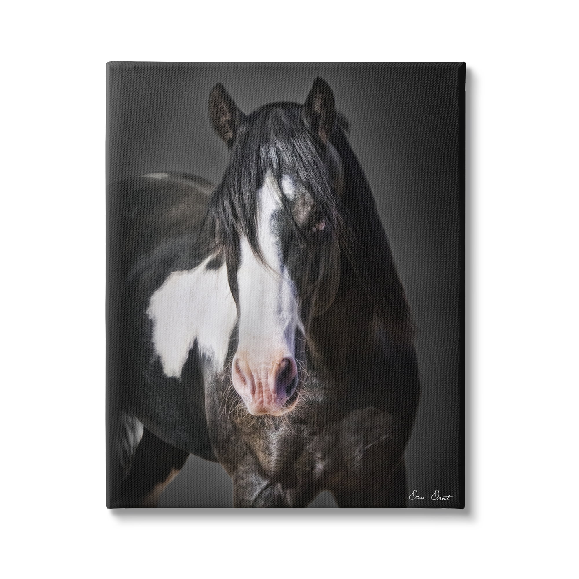 Stupell Industries Black & White Horse Animals & Insects Photography Gallery Wrapped Canvas Art Print Wall Art, 16 x 20
