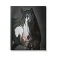 thumbnail image 1 of Stupell Industries Black & White Horse Animals & Insects Photography Gallery Wrapped Canvas Art Print Wall Art, 24 x 30, 1 of 8